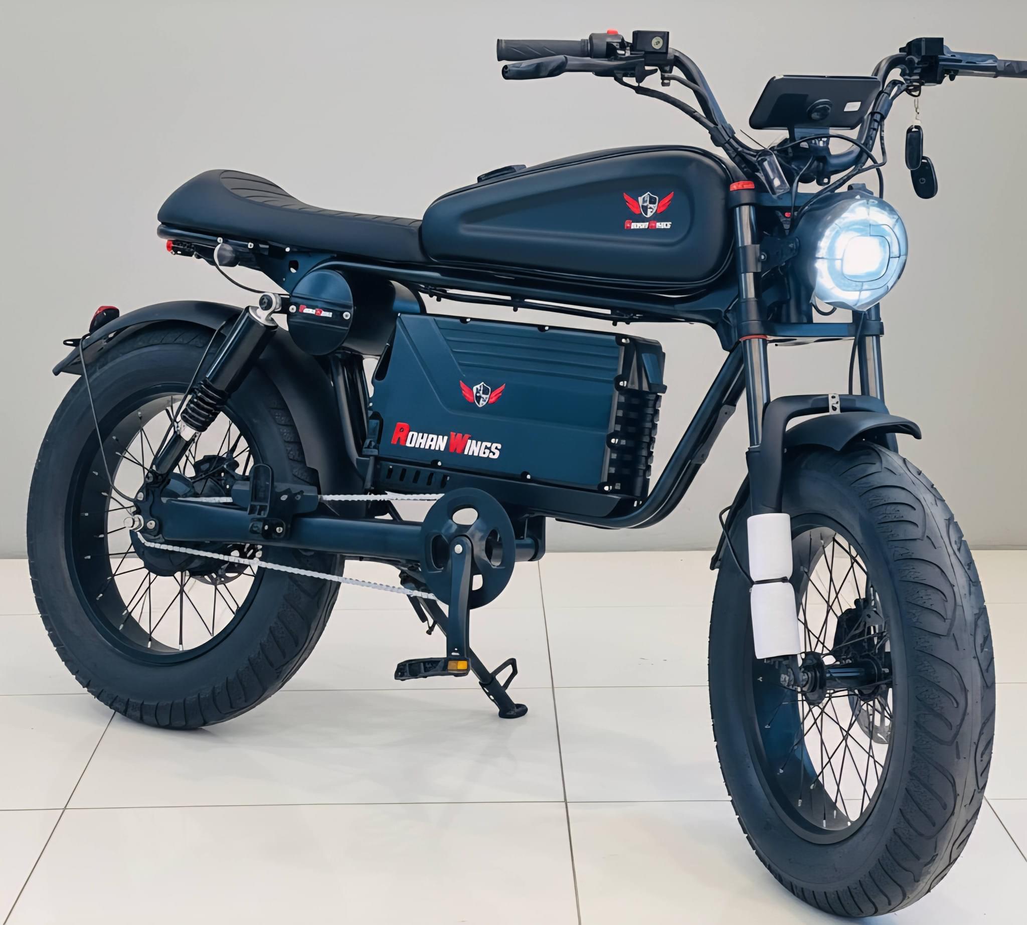 RohaN wings HL-20 - Image 1