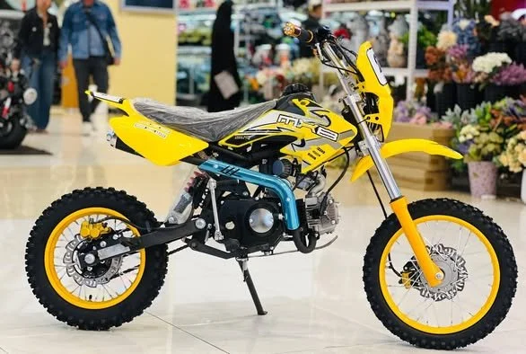 aster e10s scooter